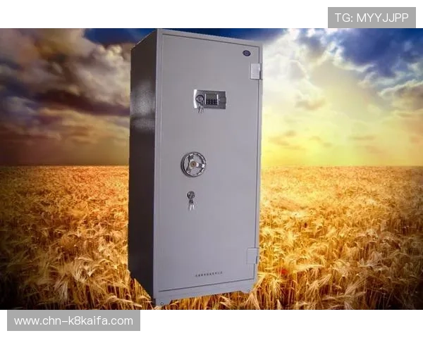 K8凯发旗舰厅注册平台安全措施介绍，保障玩家个人信息与资金安全