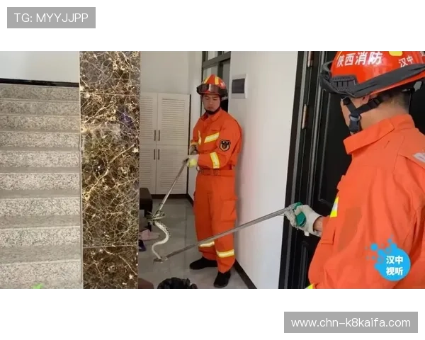 凯发地址平台加强安全措施，确保用户资金与个人信息安全无忧