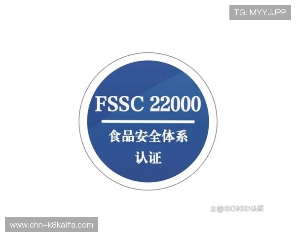 凯发·k8官网的安全支付方式详解，保障每一笔交易的安全与便捷