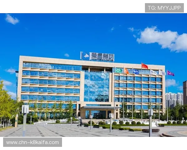 K8凯发国际首页安全保障措施全揭秘，确保玩家资金与个人信息的双重安全