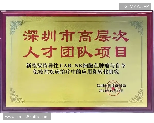 凯发足球官网首页入口:安全访问凯发足球官网入口的常见问题与解决方案 凯发足球官网首页入口:安全访问凯发足球官网入口的常见问题与解决方案